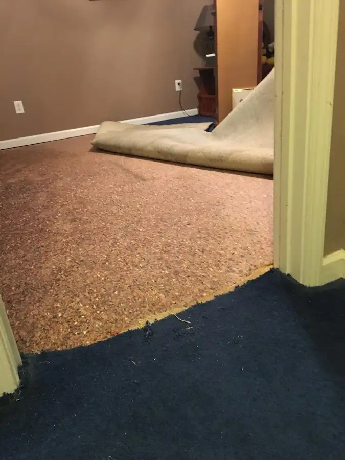 Carpet pad removal revealing water damage during Drying & Dehumidification in Dennis