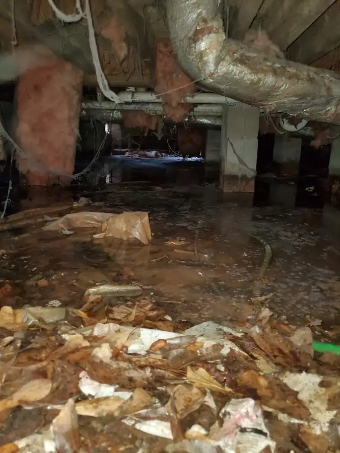 Crawl space flood assessment for Commercial Water Damage Restoration in Dennis